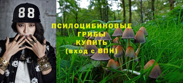 а пвп мука Богданович