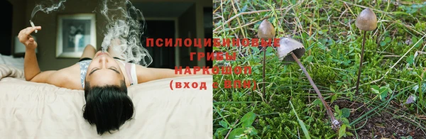 стафф Богородск