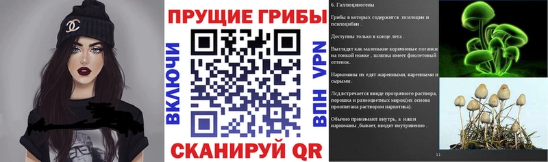 Псилоцибиновые грибы Cubensis  omg зеркало  Болохово 
